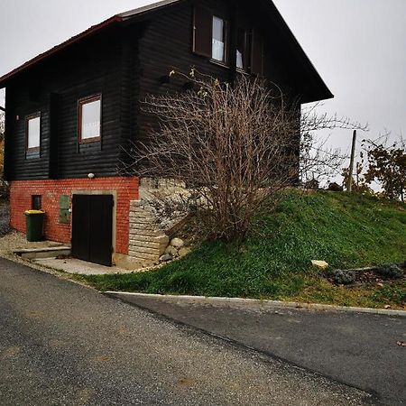 Apartma Med Vinogradi Ljutomer Kültér fotó