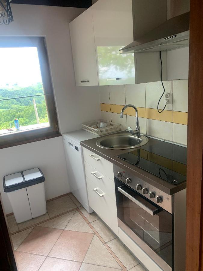Apartma Med Vinogradi Ljutomer Kültér fotó