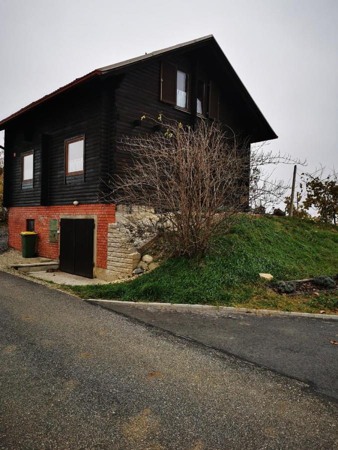 Apartma Med Vinogradi Ljutomer Kültér fotó