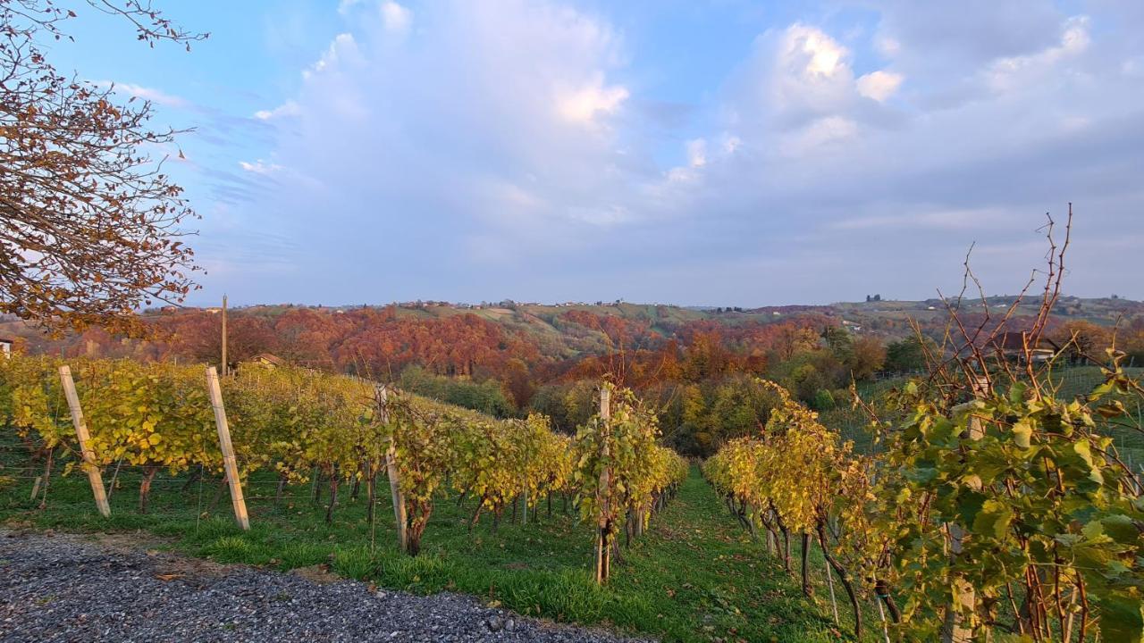 Apartma Med Vinogradi Ljutomer Kültér fotó