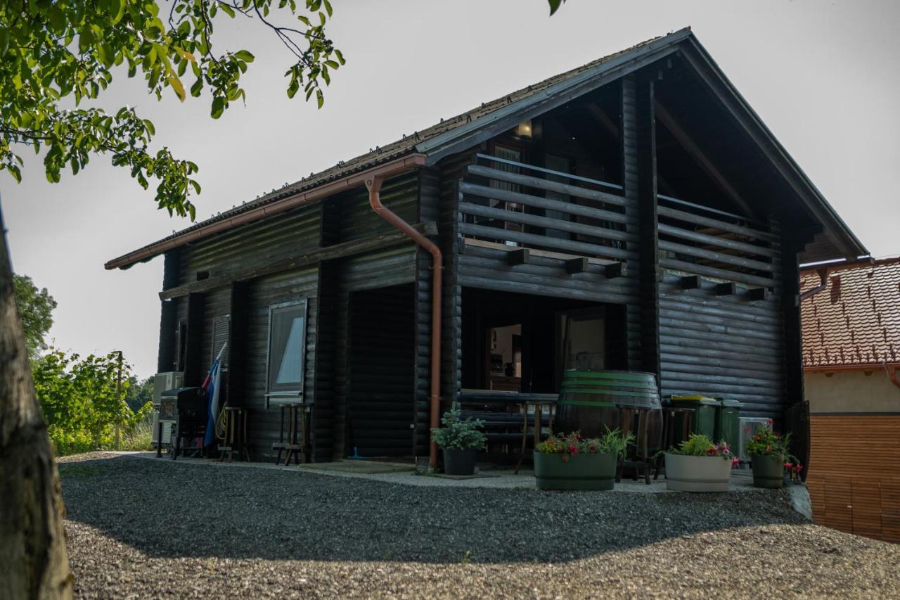Apartma Med Vinogradi Ljutomer Kültér fotó