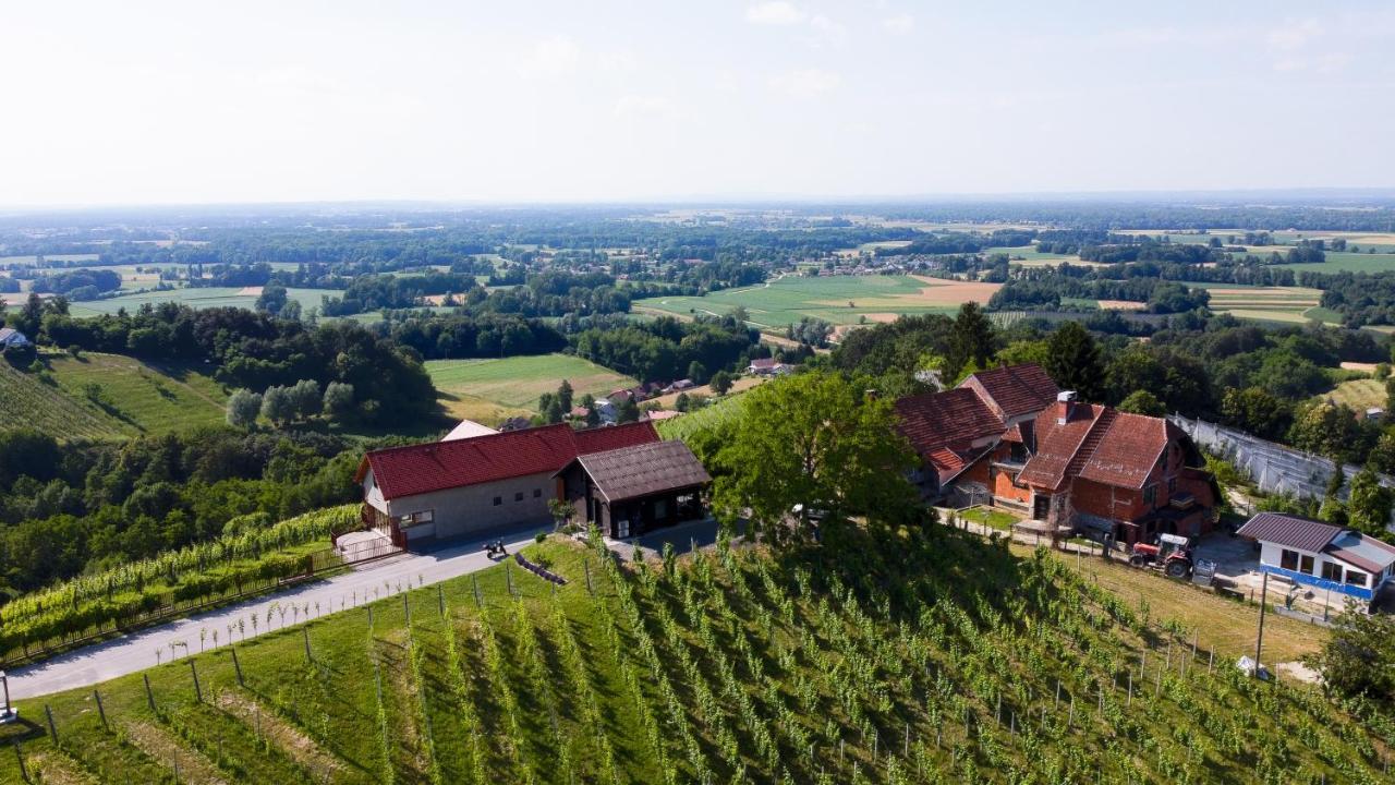 Apartma Med Vinogradi Ljutomer Kültér fotó